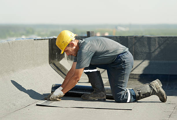 Best Eco-Friendly Insulation in Jena, LA