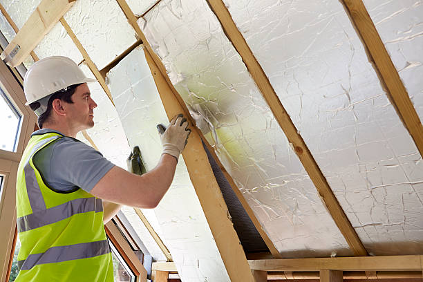 Best Geographic-Specific Insulation Services in Jena, LA