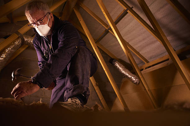 Best Commercial Insulation in Jena, LA
